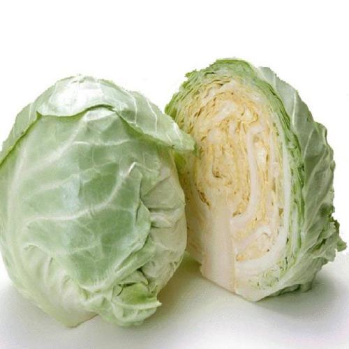 【禾春元食品】生态蔬菜包菜 1个/约750g 多还少补 ( 与非蔬菜生鲜