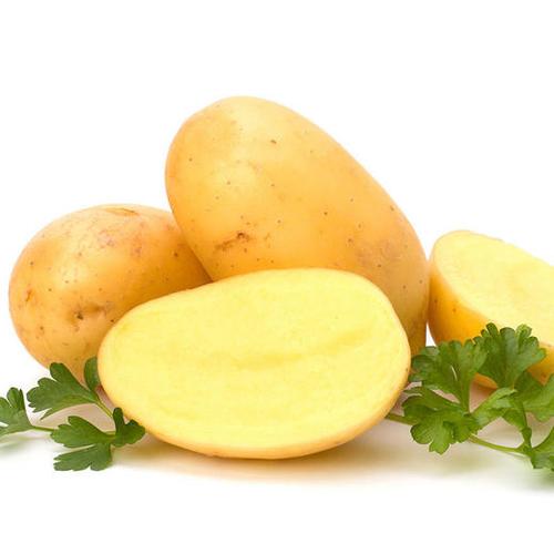 现挖新鲜土豆510斤包邮小土豆农产品黄心马铃薯时令蔬菜农家