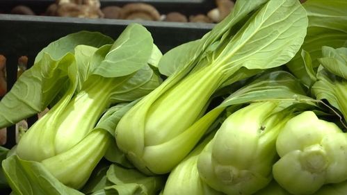 8日—14日 晋江这14个地点供应平价蔬菜|蔬菜|供应点|芋头