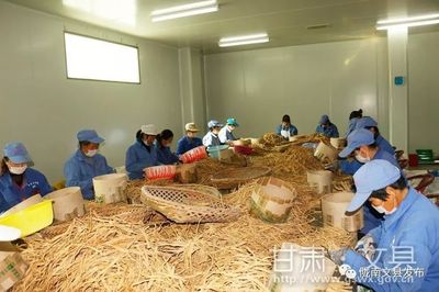 扶贫车间成就致富梦想 --文县扶贫车间建设综述
