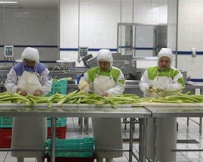 昂贵的高铁快餐制作流水线 几百斤肉一起炒 酱油按桶倒