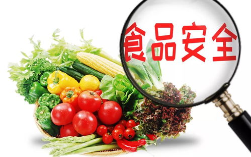 蔬菜也有 身份证 了 手机扫一扫看蔬菜的 前世今生