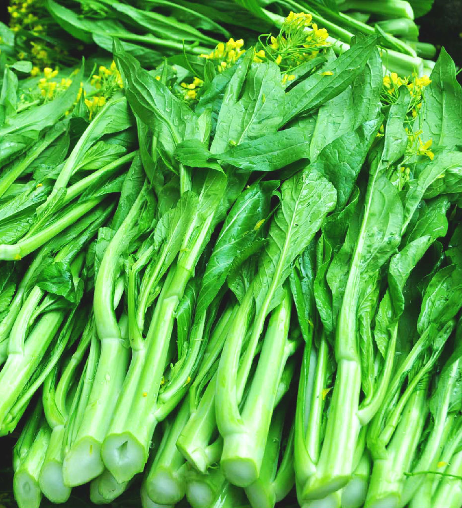 蔬菜摄影图__蔬菜_生物世界_摄影图库_昵图网nipic