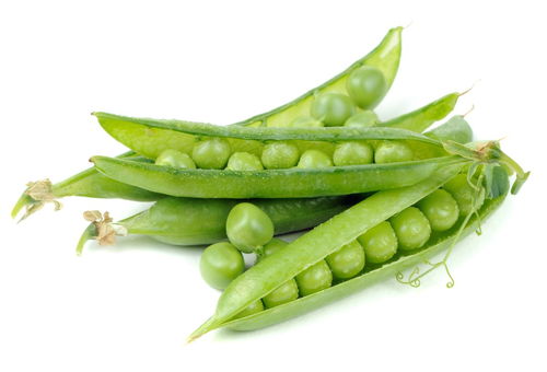 白底蔬菜
