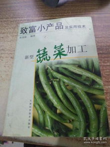 致富小产品及实用技术.新型蔬菜加工