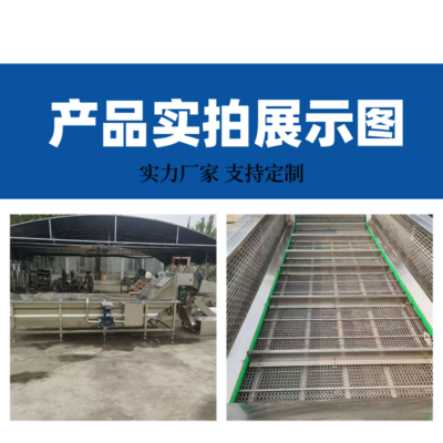 花生毛豆气泡清洗机 绿豆黄豆芽清洗去壳机器 蔬菜加工高压冲洗机器