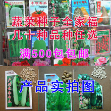 大白瓜价格_今日最新大白瓜价格行情走势 