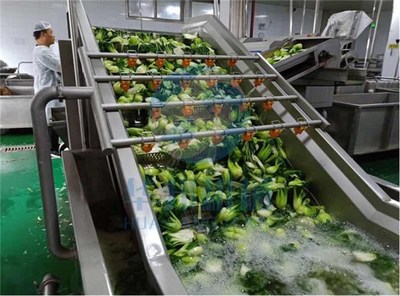 诸城市华邦机械(图)-草药清洗设备厂-吕梁草药清洗设备