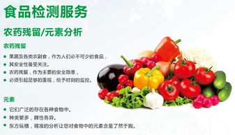 广州市食品工厂质量检测咨询 广州食品残留物 重金属检测