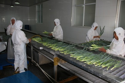 脱水蔬菜