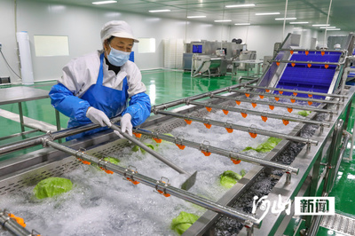盐碱地上的蔬菜进京了