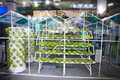 新主体、新技术、新产品 从今年农博会看“浙”有新能力