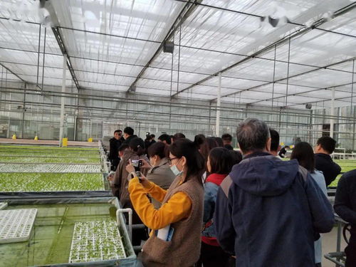 廊坊百姓的数字生活 重点网络媒体集中采访行走进永清