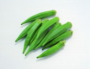 这是什么蔬菜