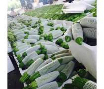 东莞食堂承包产品库