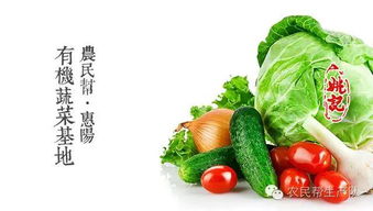 新鲜蔬菜配送到家