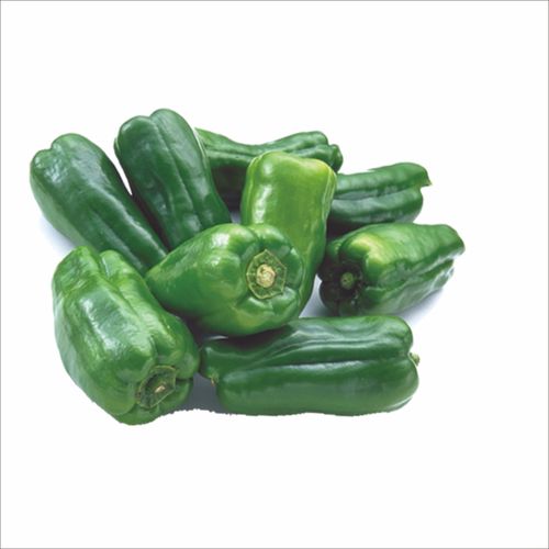 真实蔬菜各种食材 白菜马铃薯西红柿胡萝卜 png透明免扣设计素材 蔬菜免扣素材