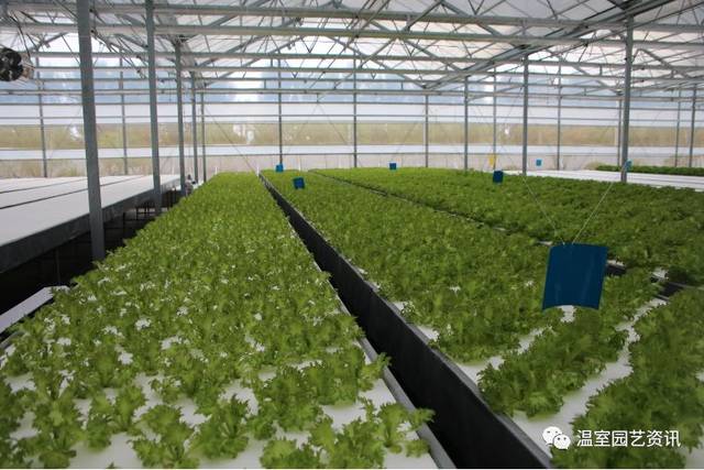 探秘京东植物工厂 产销一体化破解农产品销售难题