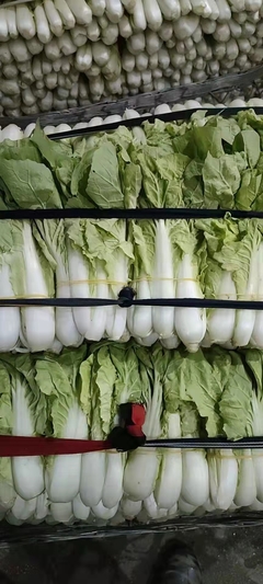 厦令赢蔬菜配送 福田区梅林工厂的优质蔬菜供应商