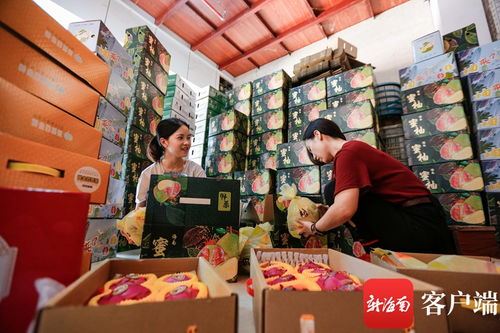 搭乘电商快车 海南农产品畅销国内国际市场