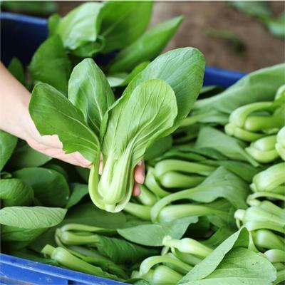 平湖饭堂食材配送服务公司 构建从农田到工厂食堂的高效供给链