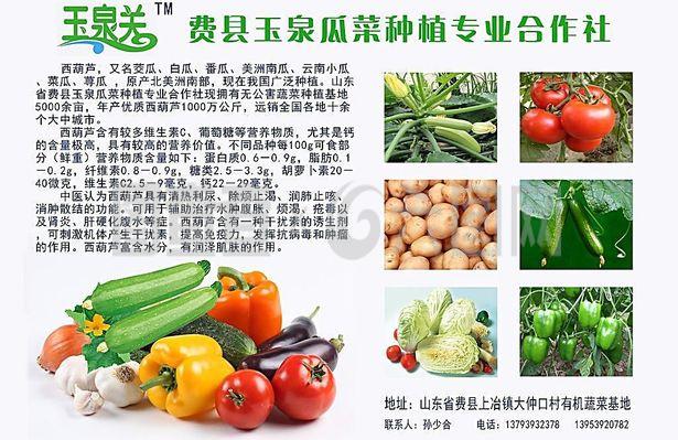 新鲜直达，品质承诺——绿色蔬菜产品宣传与农副产品收购服务